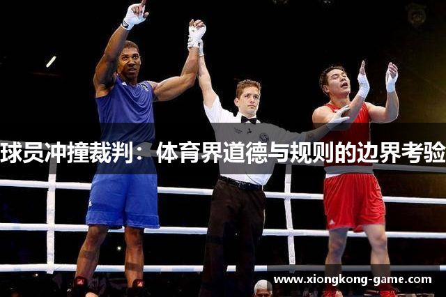 球员冲撞裁判：体育界道德与规则的边界考验